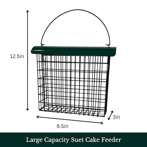 Large Powder-Coated Metal Mesh Suet Feeder with Green Roof