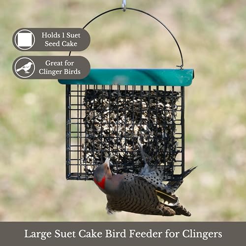 Large Powder-Coated Metal Mesh Suet Feeder with Green Roof