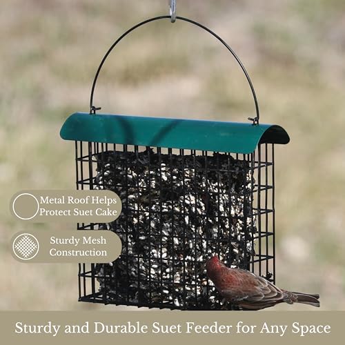 Large Powder-Coated Metal Mesh Suet Feeder with Green Roof
