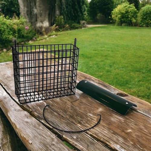 Large Powder-Coated Metal Mesh Suet Feeder with Green Roof