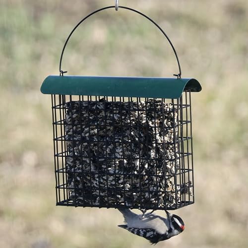 Large Powder-Coated Metal Mesh Suet Feeder with Green Roof