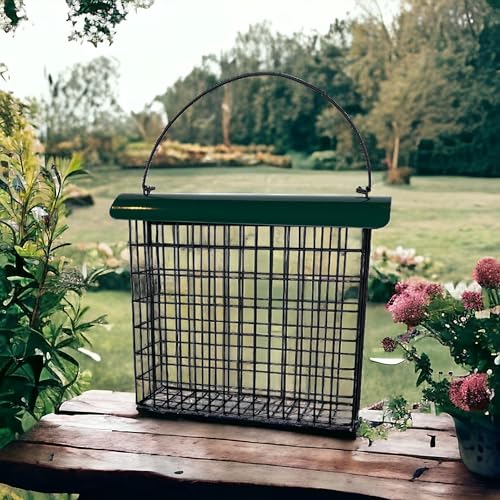 Large Powder-Coated Metal Mesh Suet Feeder with Green Roof