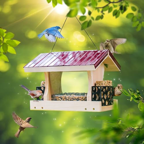 Premium Ranch DIY Bird Feeder Kit with Hanging Rope