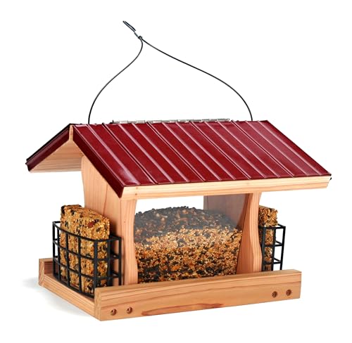 Premium Ranch DIY Bird Feeder Kit with Hanging Rope