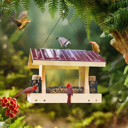 Premium Ranch DIY Bird Feeder Kit with Hanging Rope