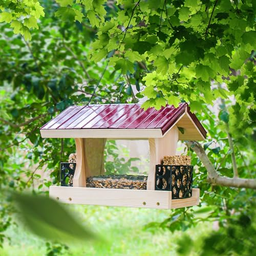 Premium Ranch DIY Bird Feeder Kit with Hanging Rope