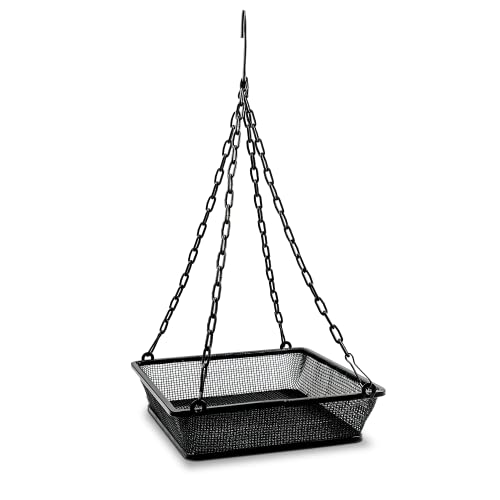 Monarch Abode Metal Hanging Bird Feeder for Outdoor