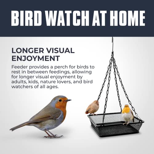 Monarch Abode Metal Hanging Bird Feeder for Outdoor