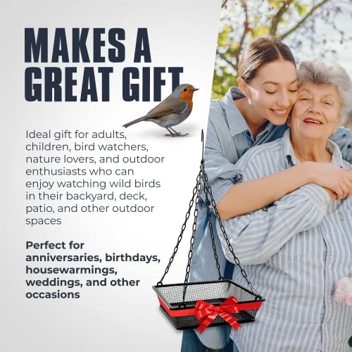 Monarch Abode Metal Hanging Bird Feeder for Outdoor