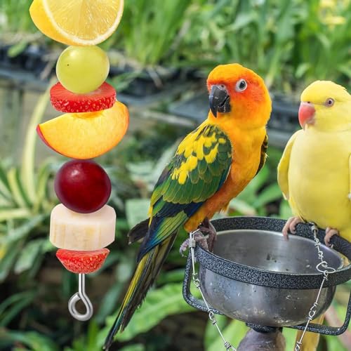 3-Pack Bird Cage Fruit Hanger For Parakeet & Macaw