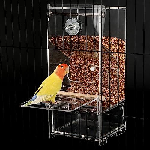 Automatic No Mess Bird Feeder with Stand, Transparent Acrylic