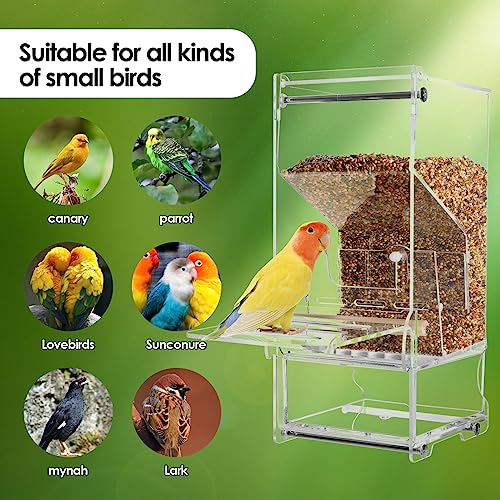 Automatic No Mess Bird Feeder with Stand, Transparent Acrylic