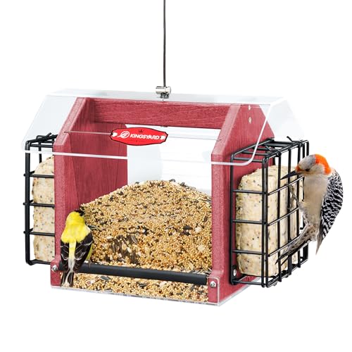 Eco-Friendly Hanging Bird Feeder with Large Seed Capacity