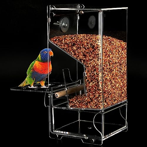 Automatic No Mess Bird Feeder with Stand, Transparent Acrylic
