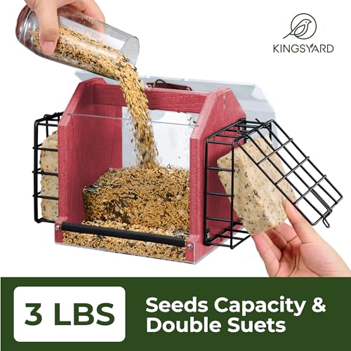 Eco-Friendly Hanging Bird Feeder with Large Seed Capacity
