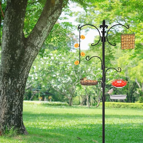 Premium Bird Feeding Station Kit with Accessories