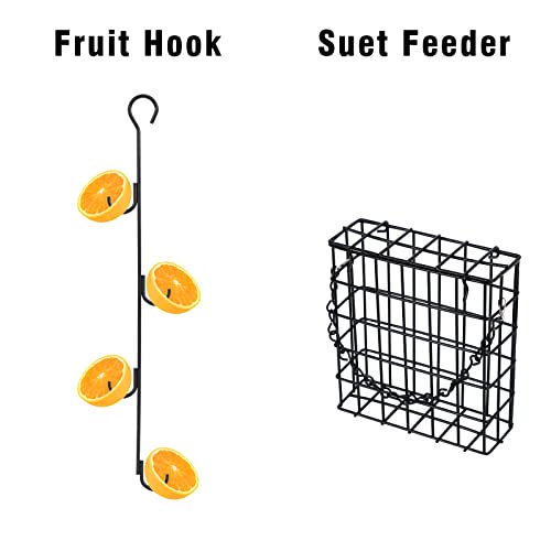 Premium Bird Feeding Station Kit with Accessories