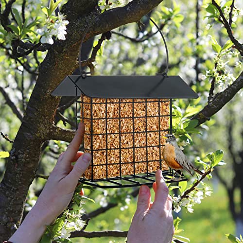 Metal Suet Bird Feeder for Outdoor Hanging Cage