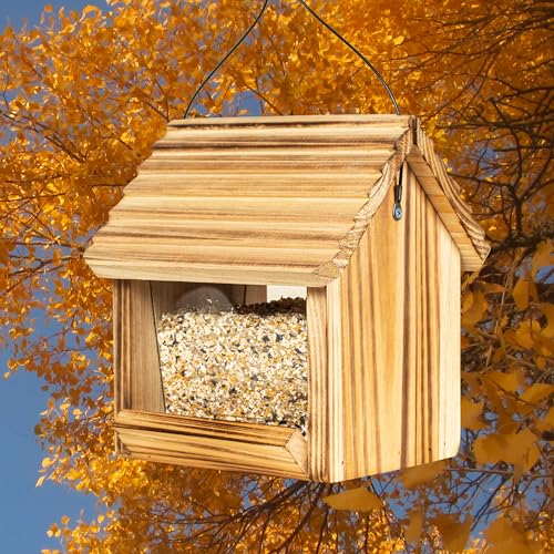 Wooden Bird Feeder for Outdoors, Unique Seed Holder