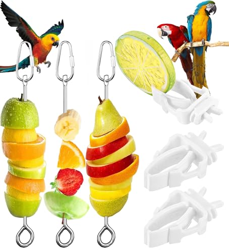 Bird Treat Skewer Holder for Cockatiel Cage Toy