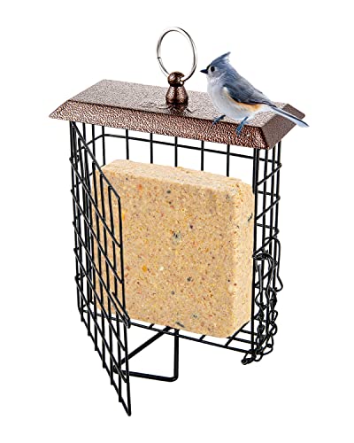Metal Brown Squirrel-Proof Suet Bird Feeder - Pack of 1
