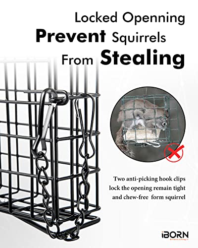 Metal Brown Squirrel-Proof Suet Bird Feeder - Pack of 1
