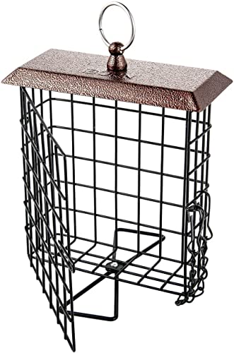 Metal Brown Squirrel-Proof Suet Bird Feeder - Pack of 1