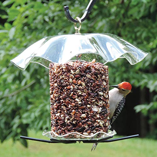 Clear Hanging Bird Seed Cylinder Feeder, 13"L x 13"W x 15"H