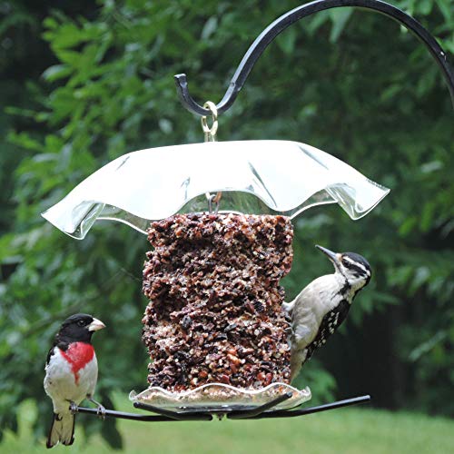 Clear Hanging Bird Seed Cylinder Feeder, 13"L x 13"W x 15"H