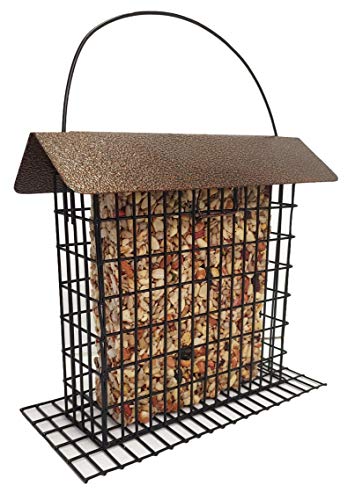 Large Seed Cake Feeder for Wild Birds - Holds 2lb