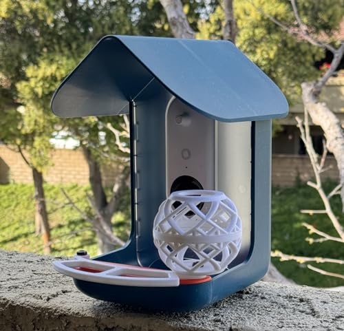 Bird Buddy Bundle with Perch, Suet Holder & Mounting