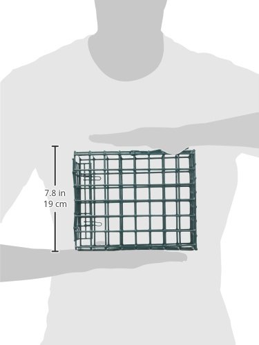 Audubon Park Seed Cake Basket Feeder for Birds