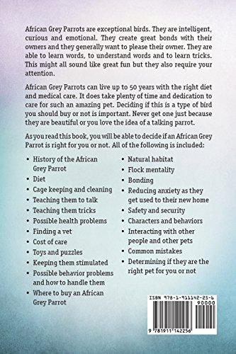 Complete Guide for African Grey Parrot Owners