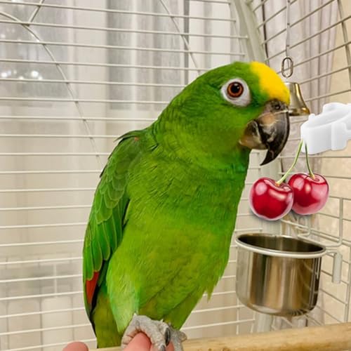 6pcs Bird Cage Food Clips for Parrot Treats