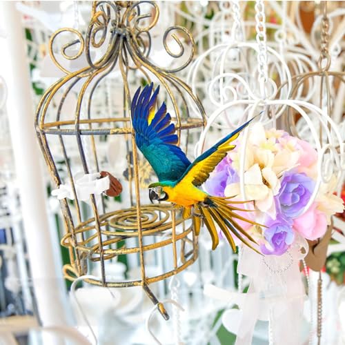 6pcs Bird Cage Food Clips for Parrot Treats