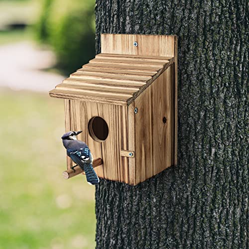 Handcrafted Wood Birdhouses for Outdoor Decor - Bird-friendly