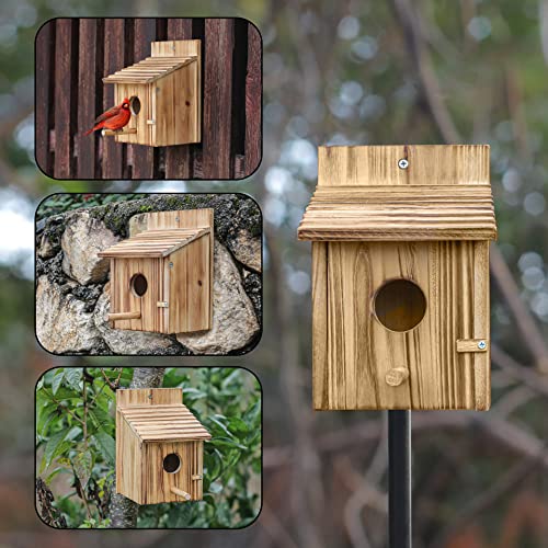 Handcrafted Wood Birdhouses for Outdoor Decor - Bird-friendly