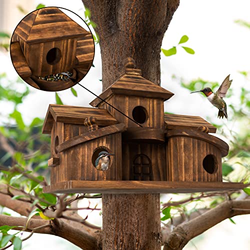 COLEBA Outdoor 5-Hole Birdhouse for Garden Decor