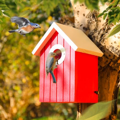 Colorful Cedar Bluebird House for Outdoor Garden Decor