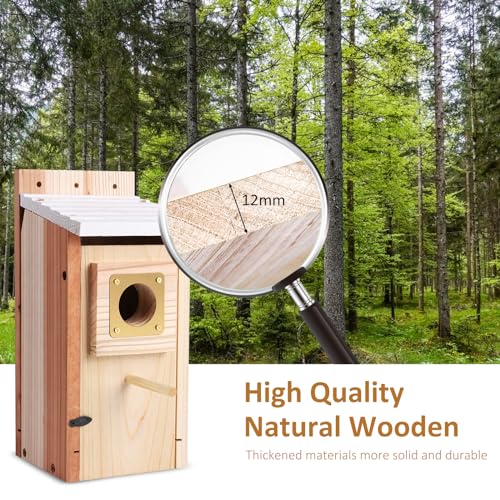 Blue Bird Houses 2Pack with Copper Guard & Pole