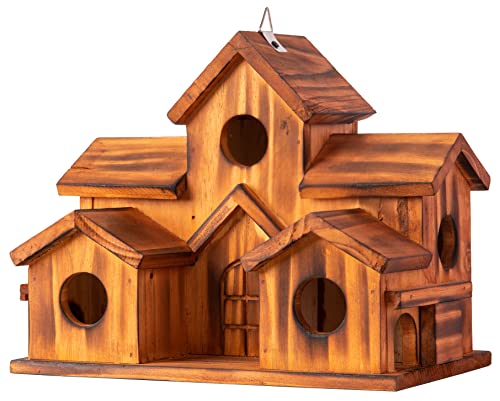 5 Hole Bird House Room for 5 Families
