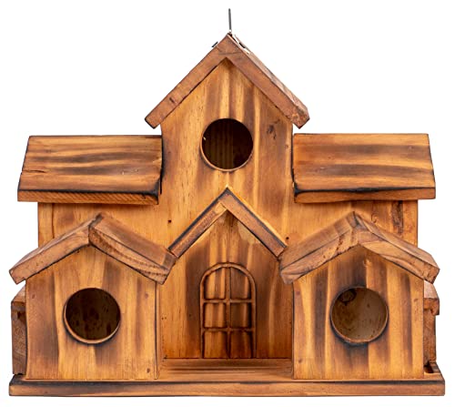 5 Hole Bird House Room for 5 Families