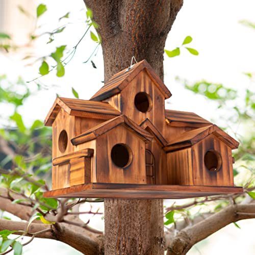 5 Hole Bird House Room for 5 Families