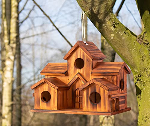 5 Hole Bird House Room for 5 Families
