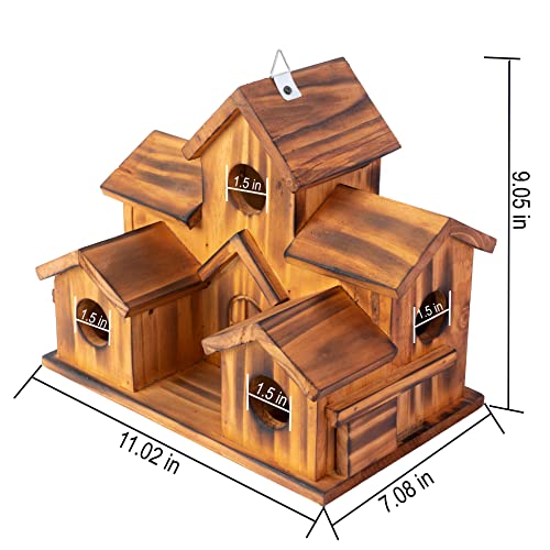 5 Hole Bird House Room for 5 Families