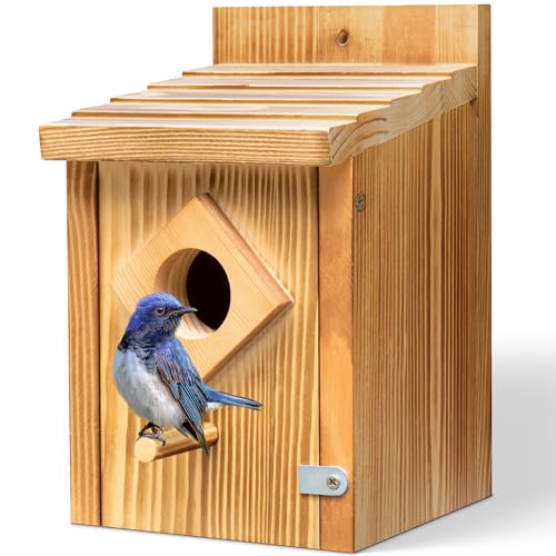 Blue Bird House with Waterproof Wooden Spray Paint