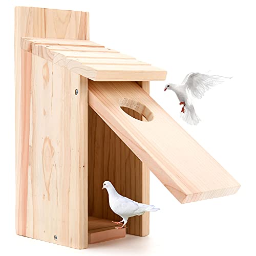 Oceek Cedar Bluebird and Wren Wood Birdhouse