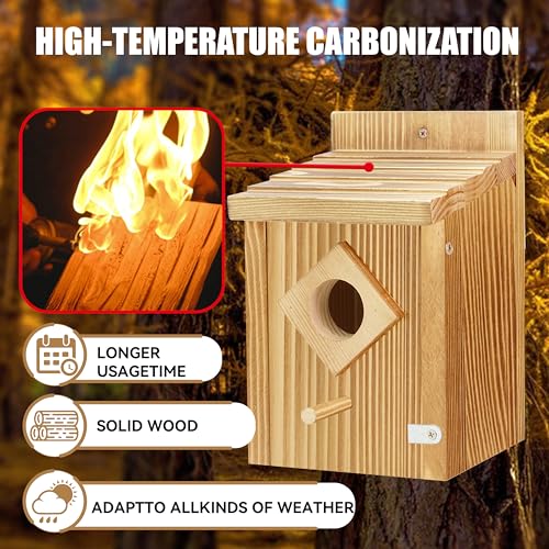 Blue Bird House with Waterproof Wooden Spray Paint