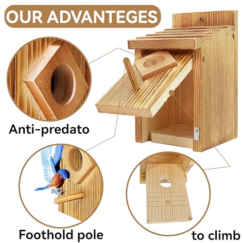 Blue Bird House with Waterproof Wooden Spray Paint