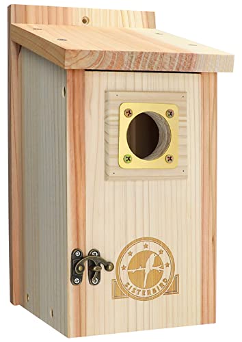 Cedar Bird House with Copper Guard for Outdoor Decor